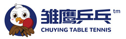 雏鹰乒乓.jpg